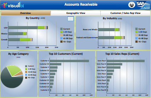 xcelsius dashboard examples